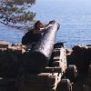 Michelle and a cannon