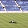 A Lawn Mower!