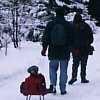 Winter Wonderland