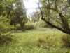 A field