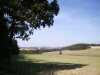 Field and Czech Village