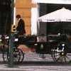 Horse carts