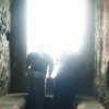 The Window